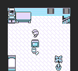 Screenshot of the starting home in shinpokered, with the female overworld sprite.