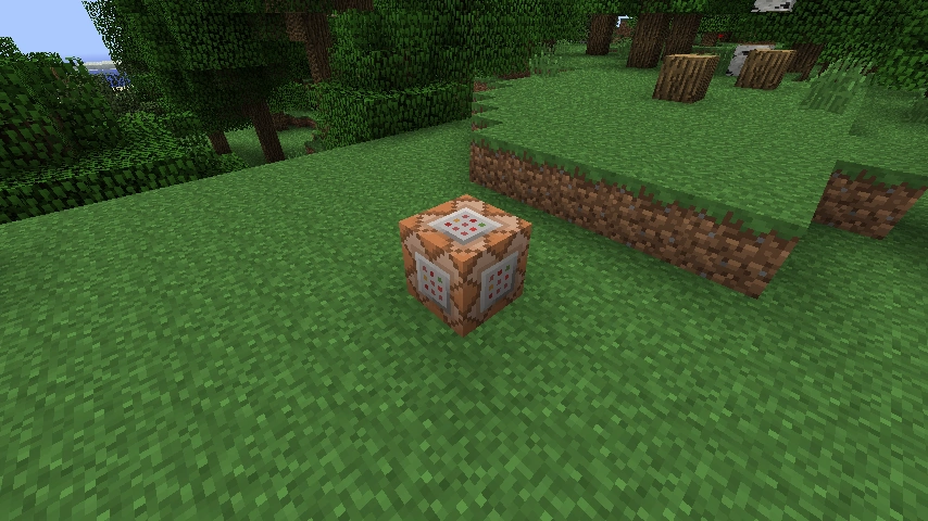 The Command Block