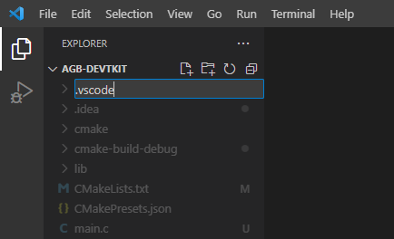 Enter the name ".vscode" as the directory